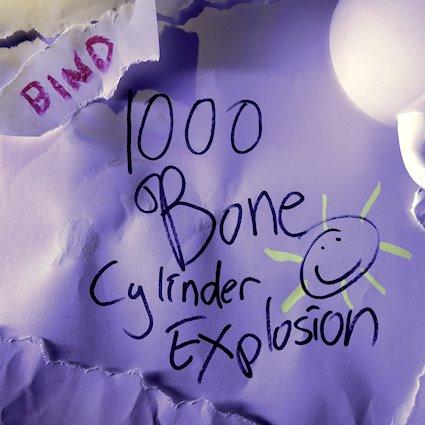 1000 bone cylinder explosion artwork