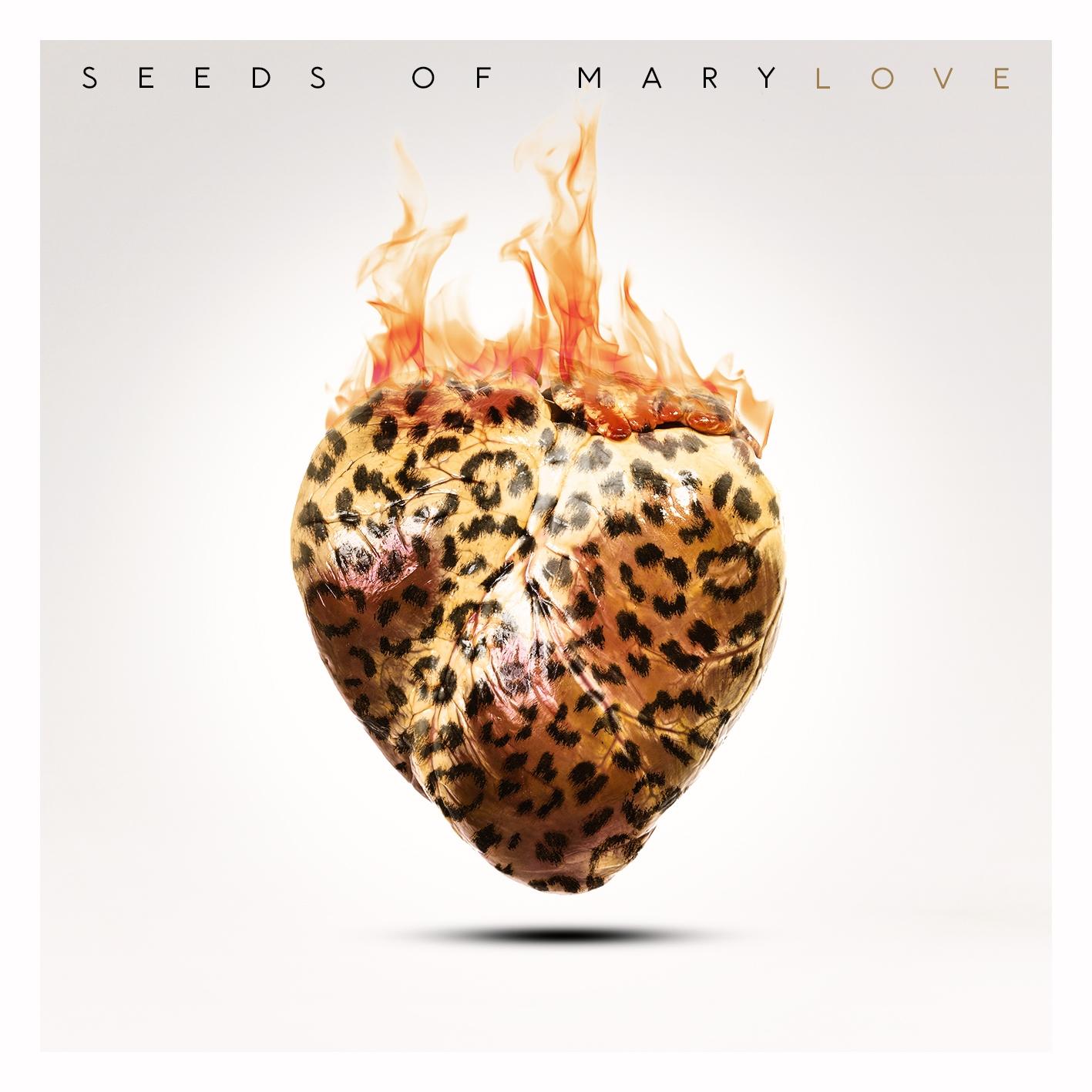 Seeds of mary love